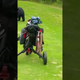 A Golf Course Is A Good Place For A Bear To Get A Snack